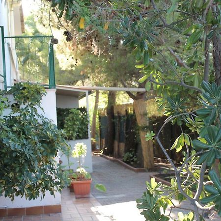ויאסטה Villa Irene מראה חיצוני תמונה